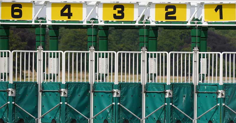Horse betting gate