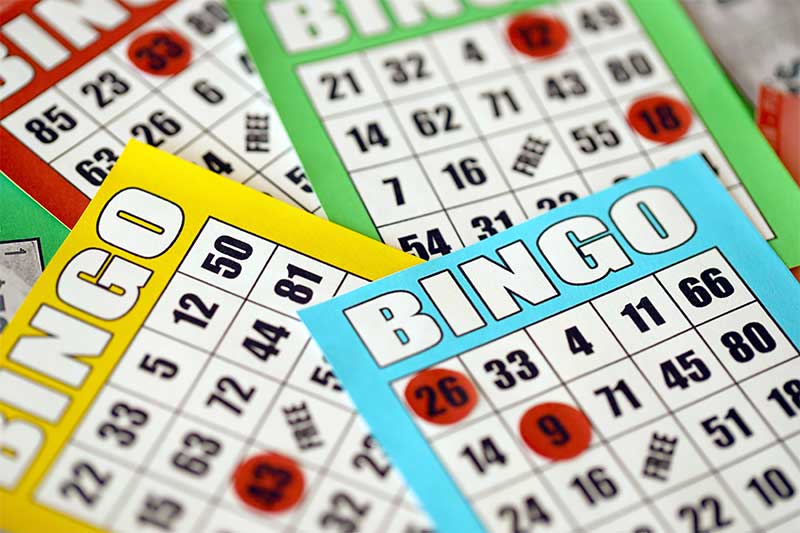 The Best Bingo sites that you can choose from