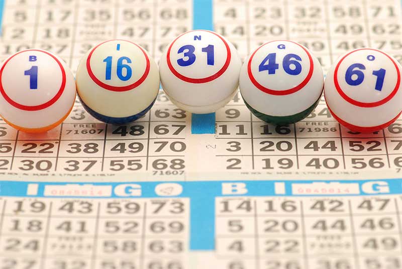 Best strategy to choose bingo numbers